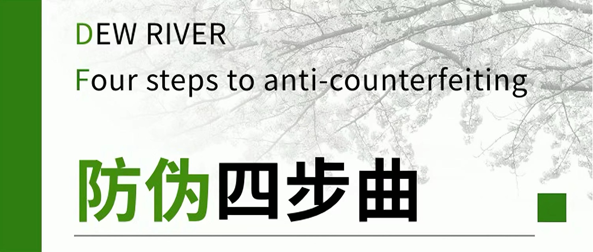 露水河 | 防偽四步曲
